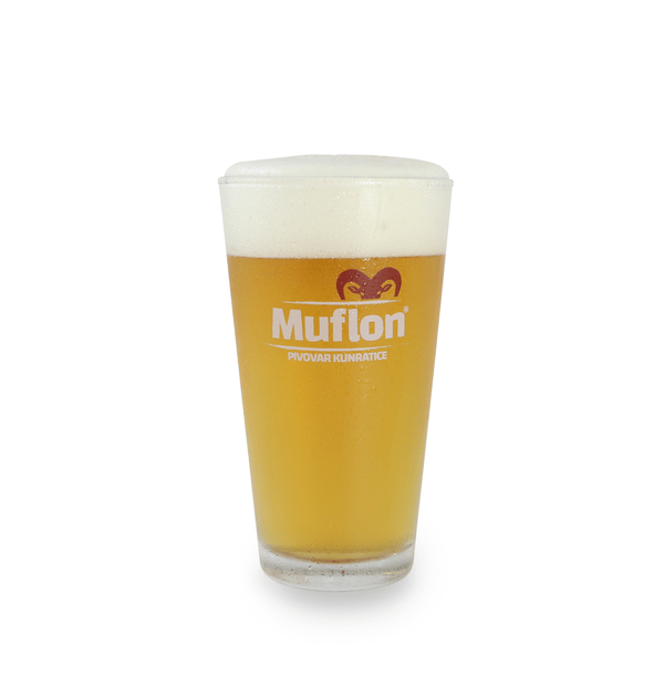 A glass of Muflon light golden color beer.